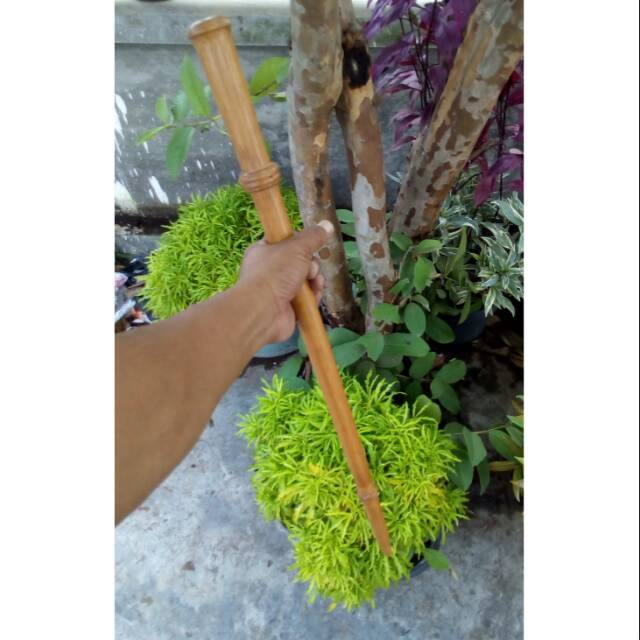 Tongkat komando kayu gaharu buaya