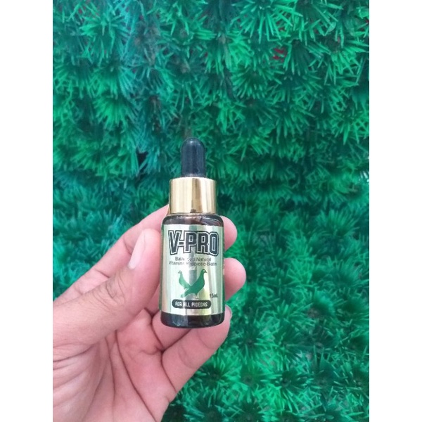 V-PRO VITAMIN TERLENGKAP UNTUK MERPATI