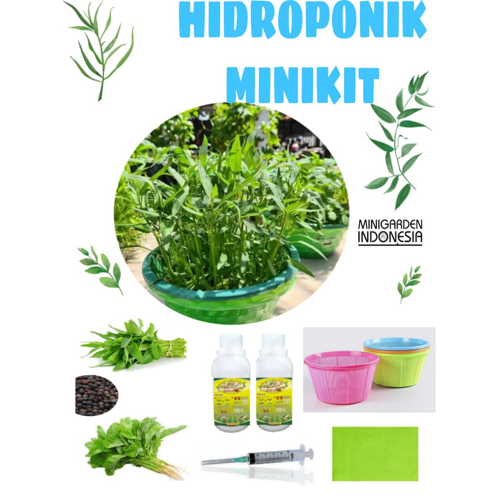 HIDROPONIK MINIKIT KANGKUNG BAYAM paket lengkap berkebun sayur sayuran