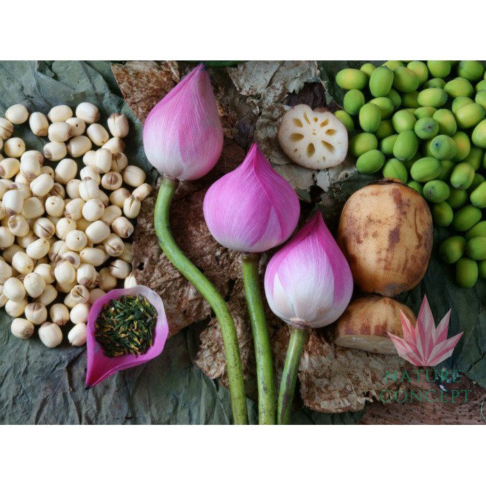 Biji Teratai Lotus Seed Fresh Makanan Diet Sehat Alami Organik Lian zi Grade AAAAA Terbaik