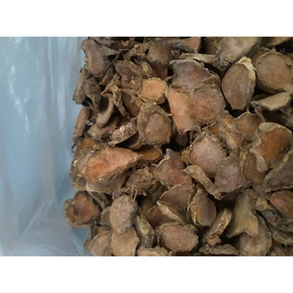 

bonggol kunir - empu kunyit - induk kunyit kering