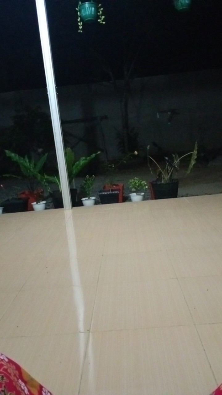 Surat Karantina (khusus Pengiriman  Luar Pulau Jawa)  Harga Per Paket