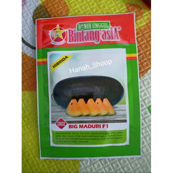 BINTANG ASIA BIG MADURI F1/SEMANGKA KUNING/SEMANGKA INUL/20