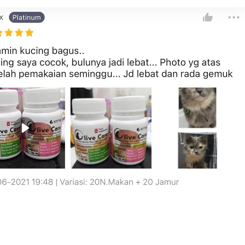 Oke Price Olive Care Paket Combo Vitamin Kucing MASALAH KULIT AKUT 