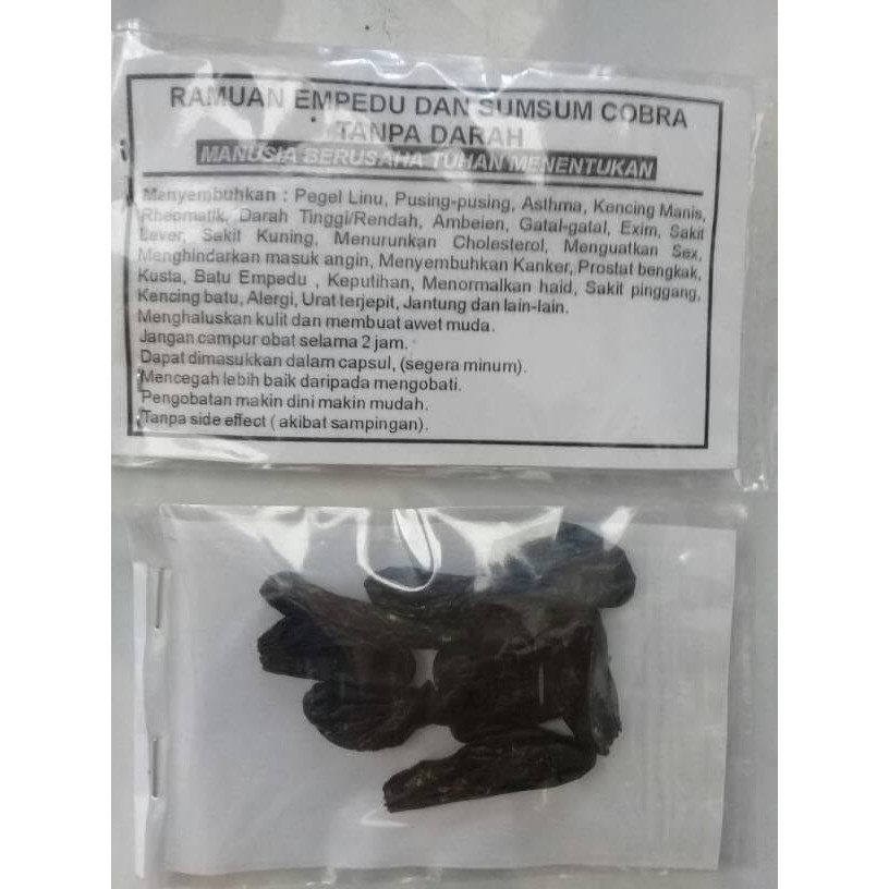 

10 PCS EMPEDU ULAR COBRA ASLI KERING SIAP KONSUMSI