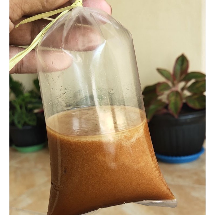 

Petis asli madura | enak 250 gram