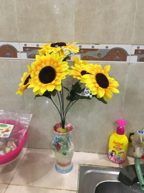 Bunga Matahari Kelopak Besar X7