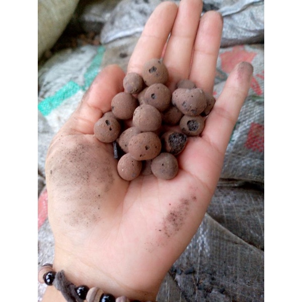 HIDROTON JERMAN 1LITER - MEDIA TANAM HIDROTON HIDROPONIK JERMAN MURAH - HIDROTON ( LECA )