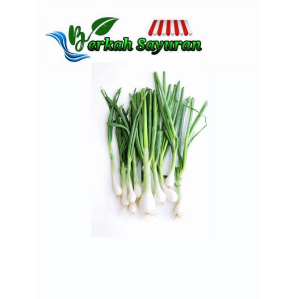 

Daun bawang/pree
