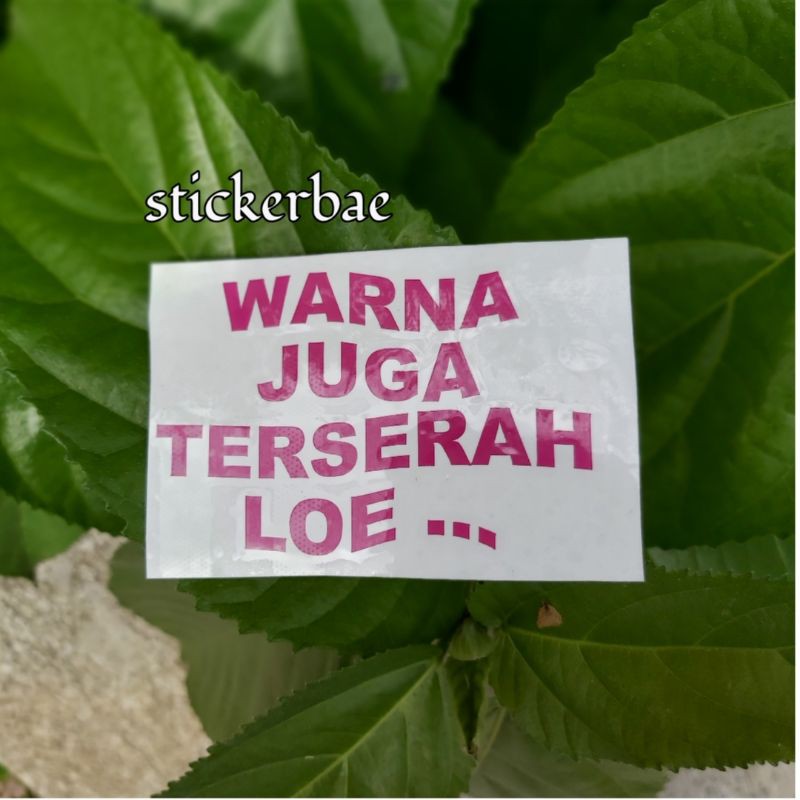 STIKER AJARIN DONG BANG JAGO STICKER HARTA TAHTA  CUTTING CUSTOM