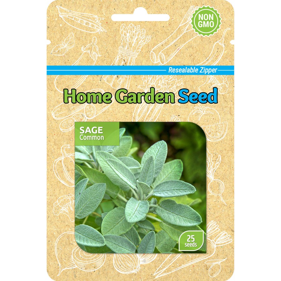 Benih Sage - Common - Home Garden Seed