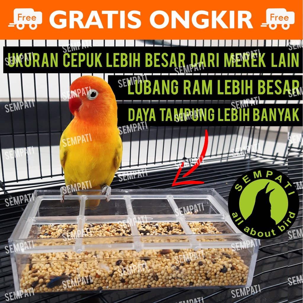 CEPUK RAM MEREK SEMPATI WADAH PAKAN BURUNG PLASTIK TRANSPARAN UNTUK LOVEBIRD PARROT PARKIT DLL