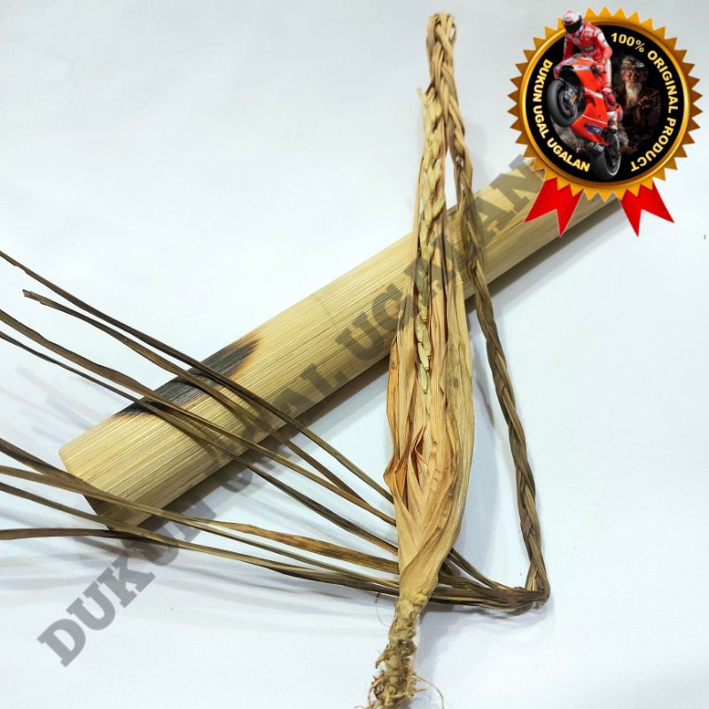 

Kembang Sereh Tunggal Lanang Bunga Serai Setangkai Asli Alami Tanah Nusantara Koleksi Original