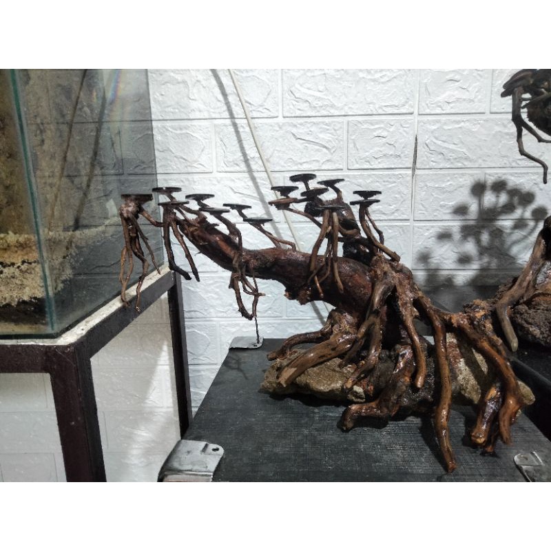 HARDSCAPE BONSAI AQUASCAPE // BONSAI AQUASCAPE