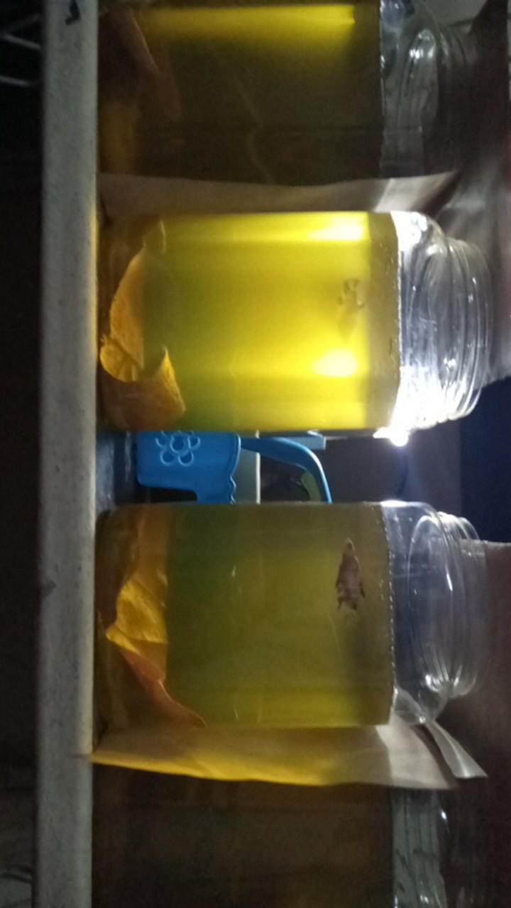 Toples Plastik 2 Liter Tutup, Toples Kue