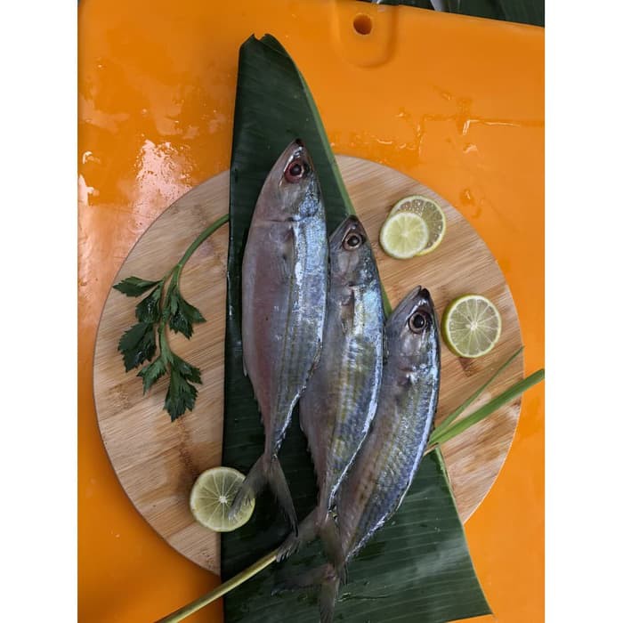 

Ikan Kembung Banjar - Kembung Utuh Premium Ukuran Besar Frozen @1kg
