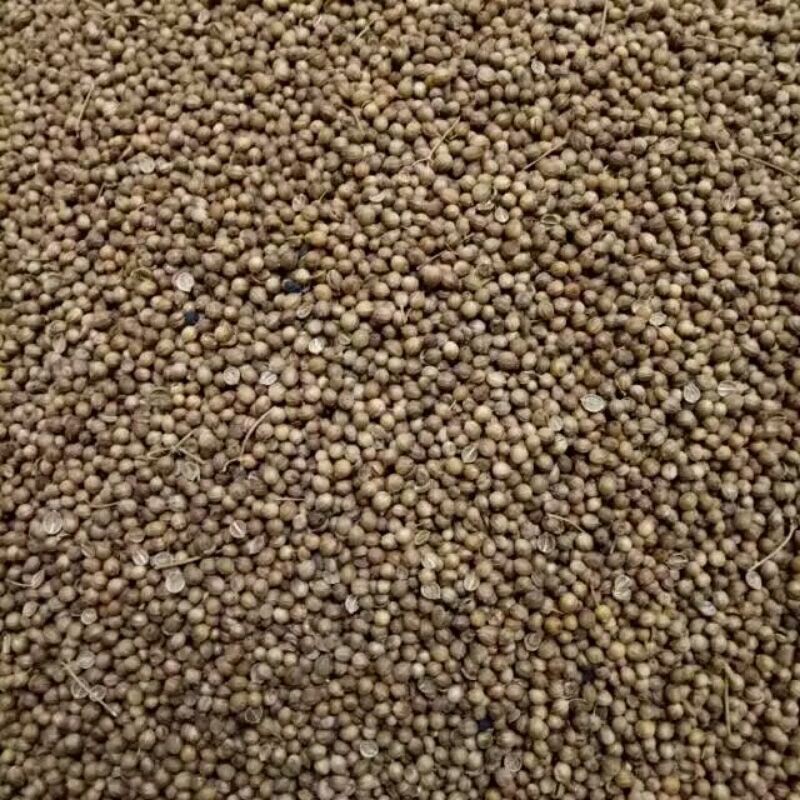 

ketumbar asli no pemutih 500gr