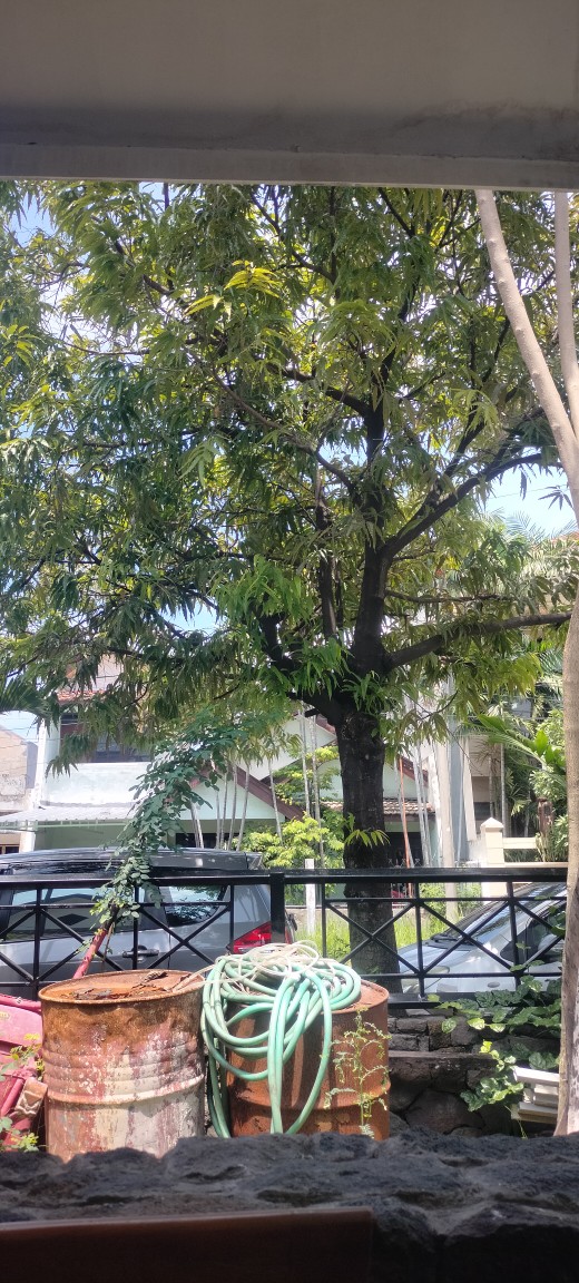 Dupa Mix 3 Aroma Satu Kemasan 1kg