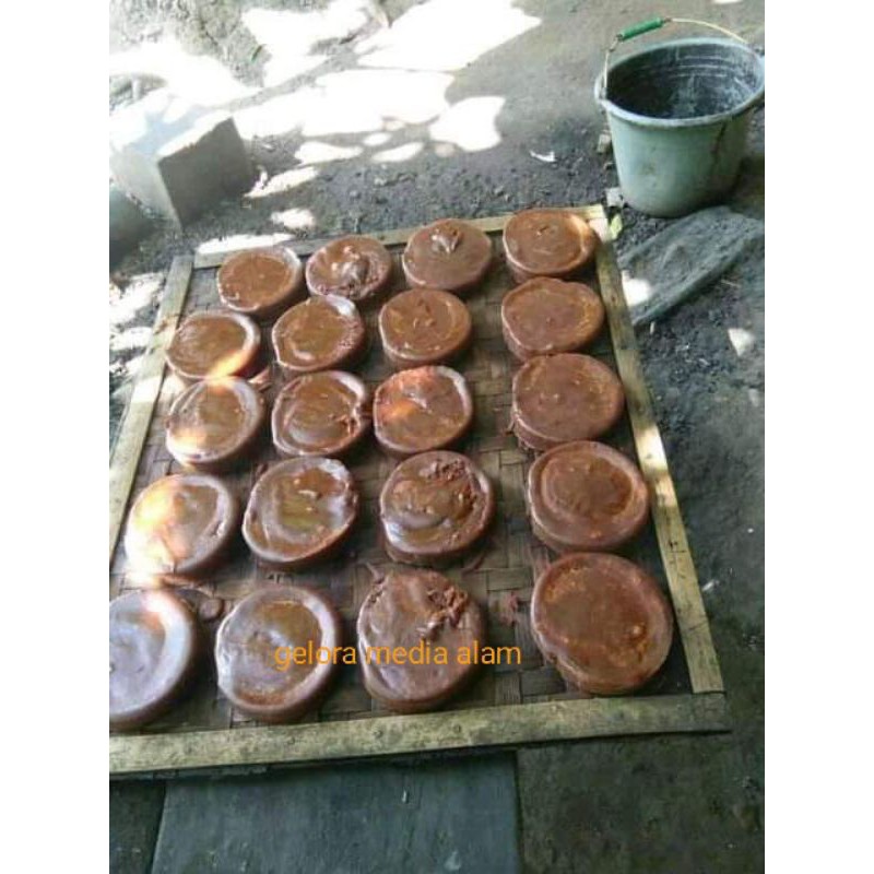 

gula aren asli satuan