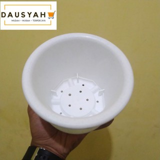  Pot  Rose Lion Star Dan  Tatakan  Ukuran 4 Putih Pot  Bunga 