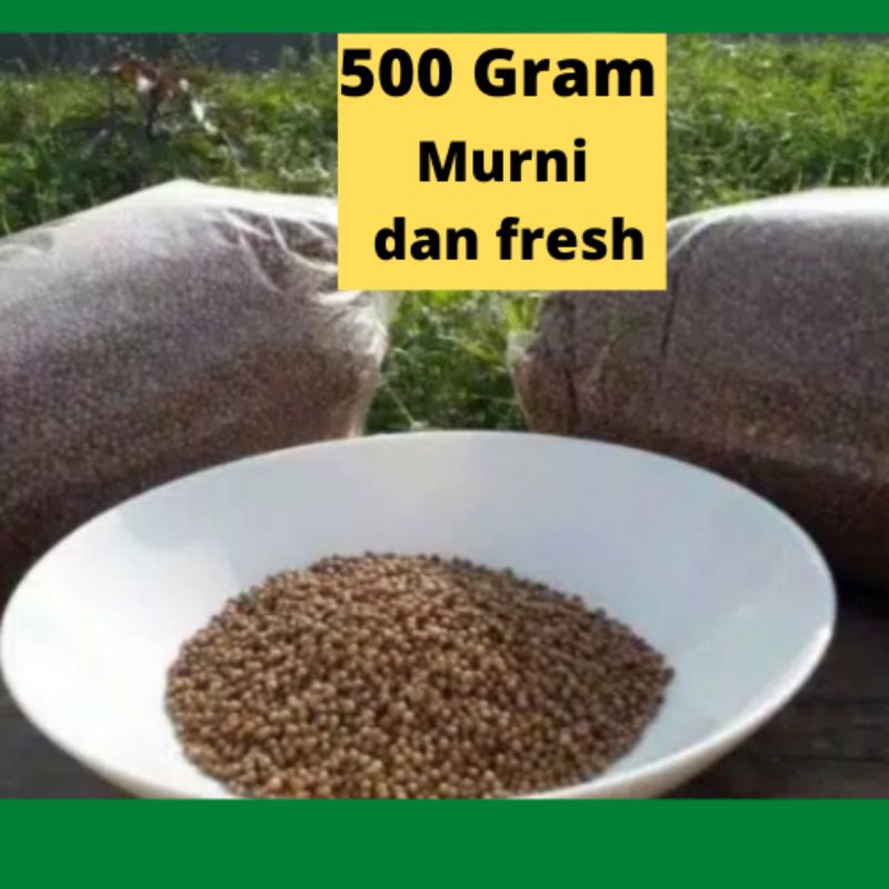 

500 GR KETUMBAR ASLI KETUMBAR HITAM DARAH TINGGI KOLESTEROL