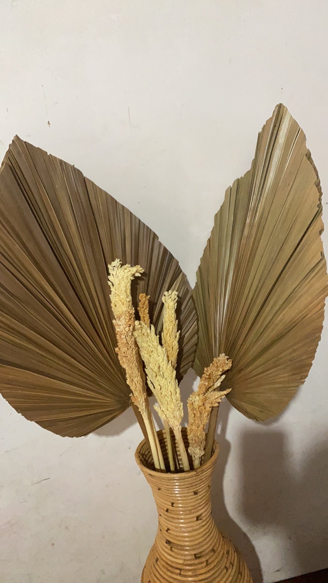 Daun Palem Kering Hiasan Rustic Lebar  35-40cm X Tinggi  70-90 Cm