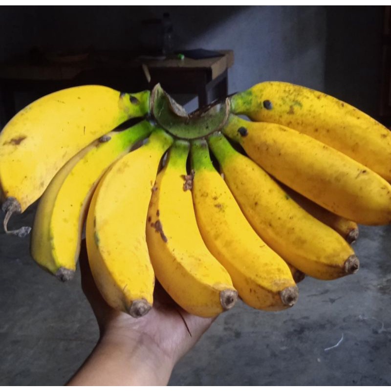 

BUAH PISANG RAJA BULU SUPER MANIS 1 SISIR