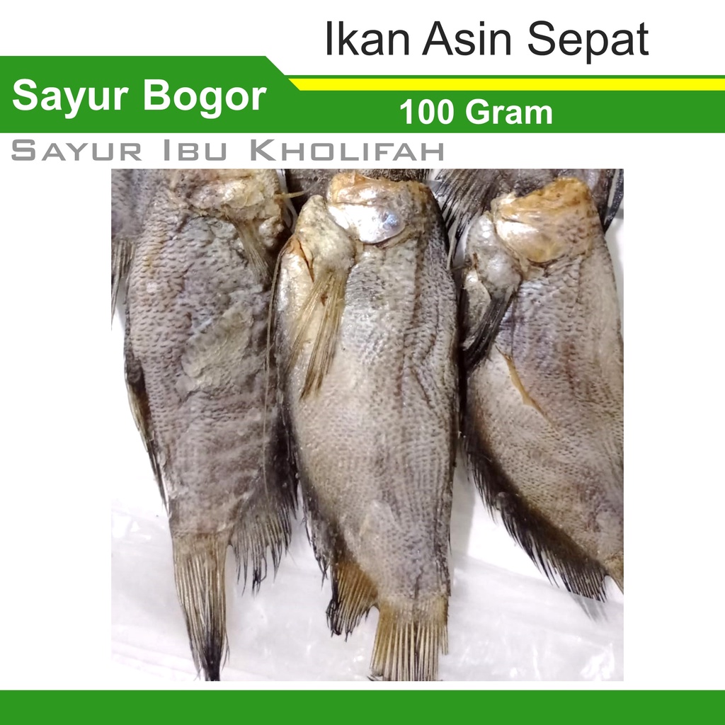 

Ikan Sepat Asin Kering Besar 100 Gram