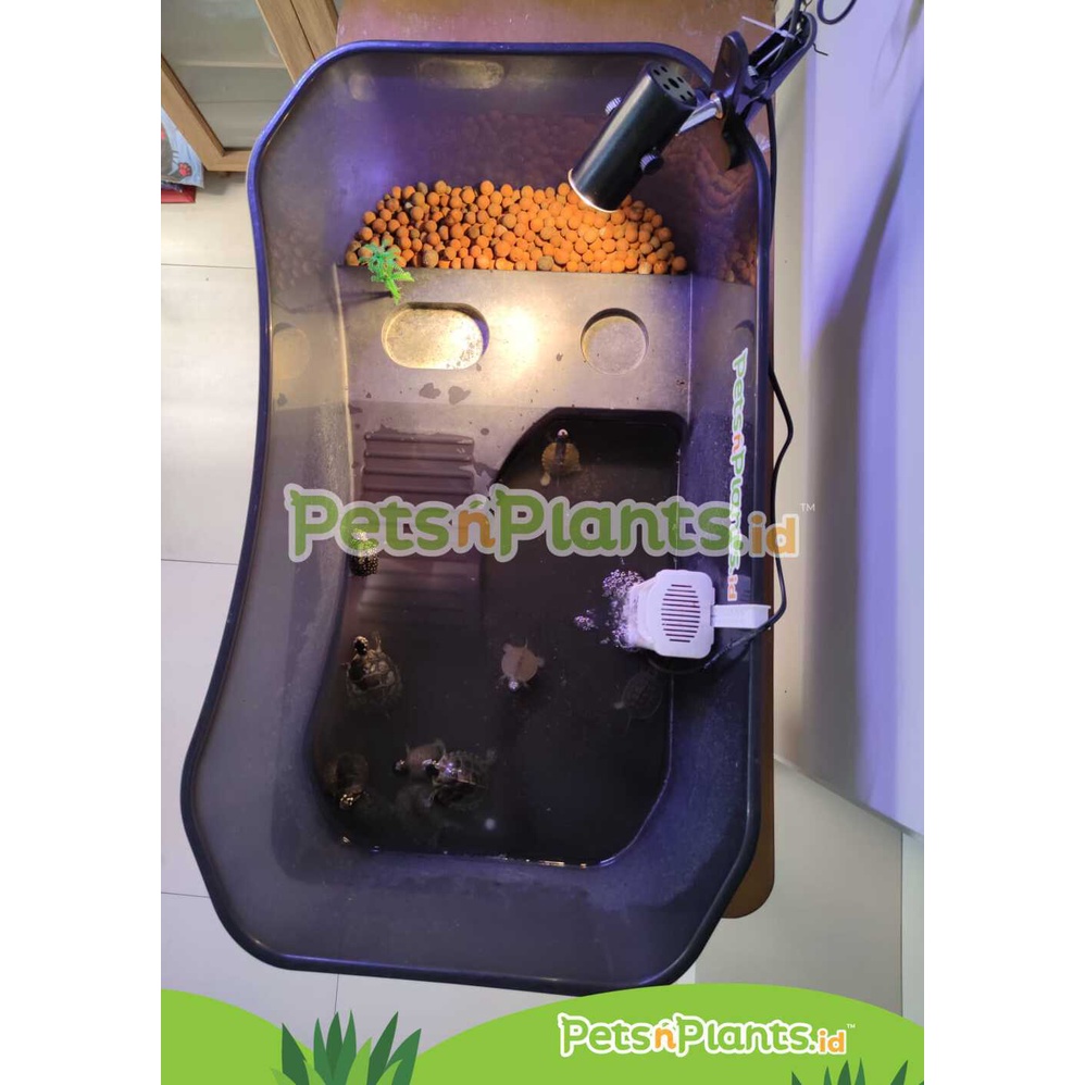 Akuarium Kandang Tempat Kura Kura Air - Turtle Tank Plastik PP Import - (XL) = 74 x 43 x 23 cm