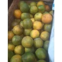 

Buah Jeruk Kepro Khas Malang 500 Gram