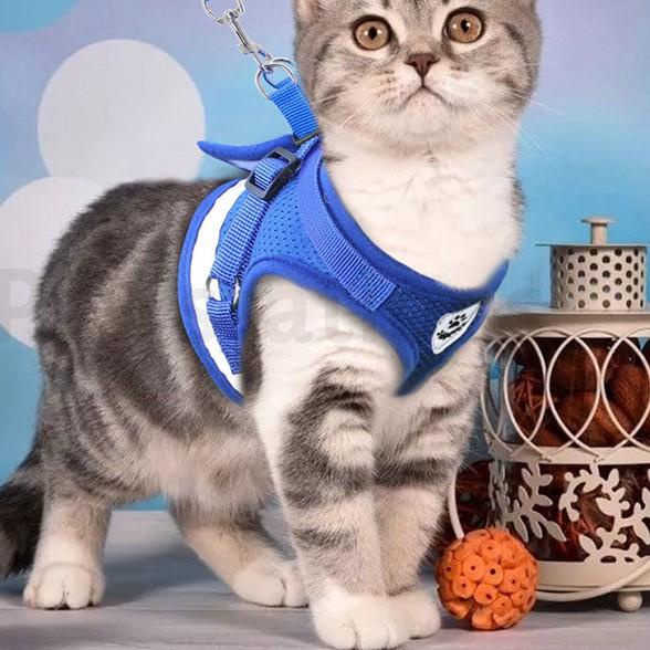 Harga Harness Kucing Rompi Terbaru November 2021  BigGo Indonesia