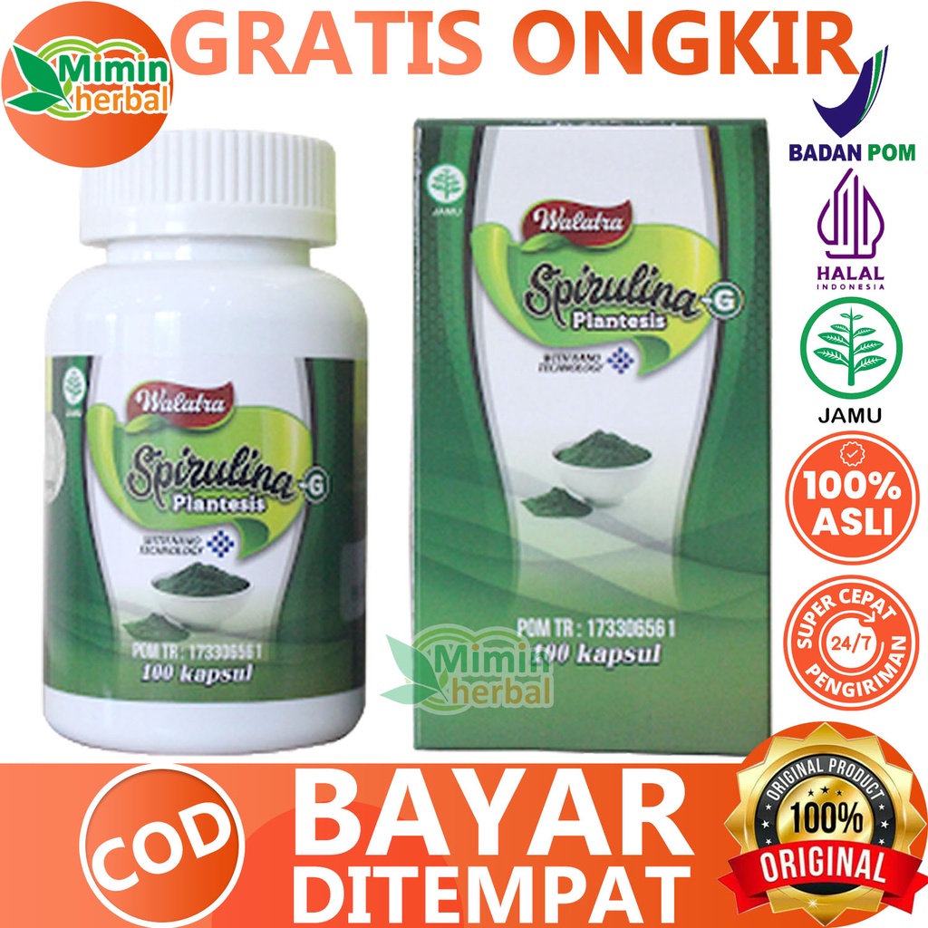 Jual Obat Gemuk Badan Dan Pipi Walatra Spirulina Plantesis Herbal ...