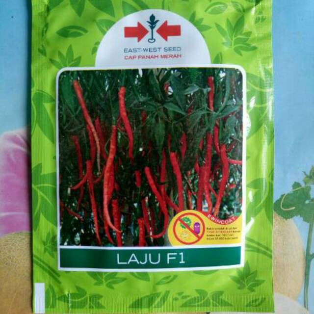 Benih bibit Cabe Merah Keriting LAJU F1 150 Biji
