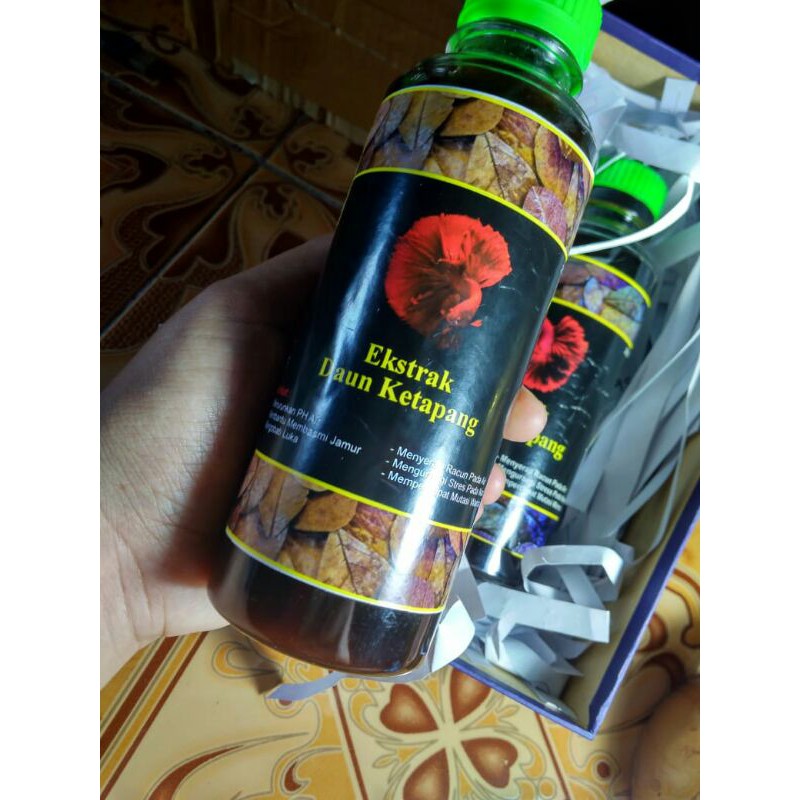 ekstrak daun ketapang original 250 ml