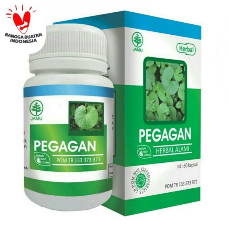 

EXTRAK PEGAGAN isi 60 Kapsul Herbal Hipertensi