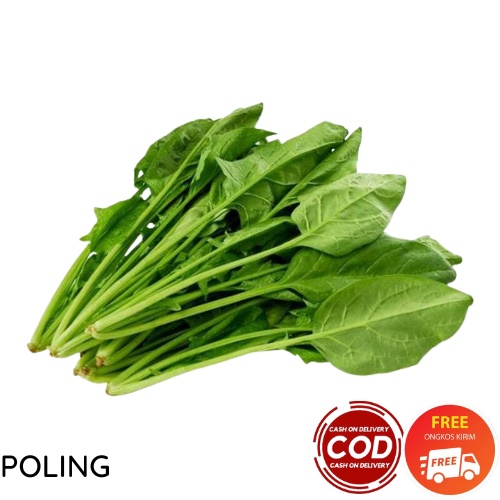 SAYUR POLING