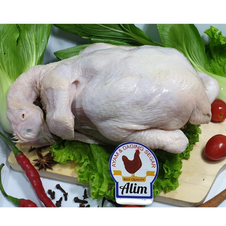 

Ayam Utuh Segar 1.3 Kg Per Ekor