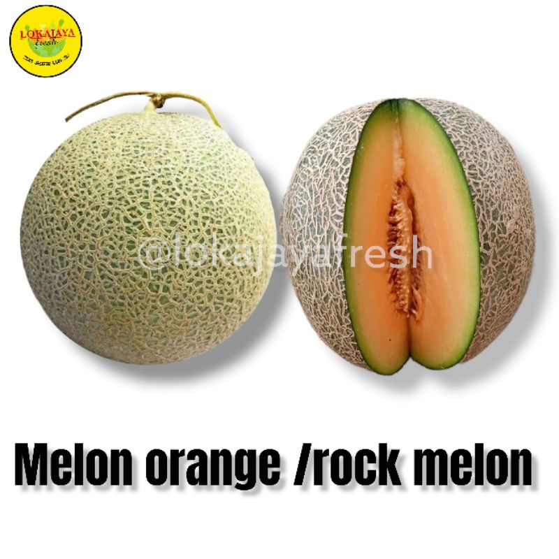 

Melon Orange Rock Melon Manis 1 kg