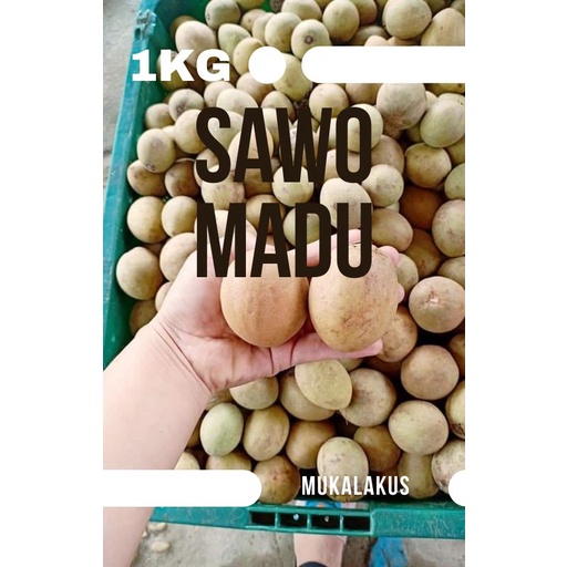 

SAWO MADU SUPER KWALITAS TERBAIK