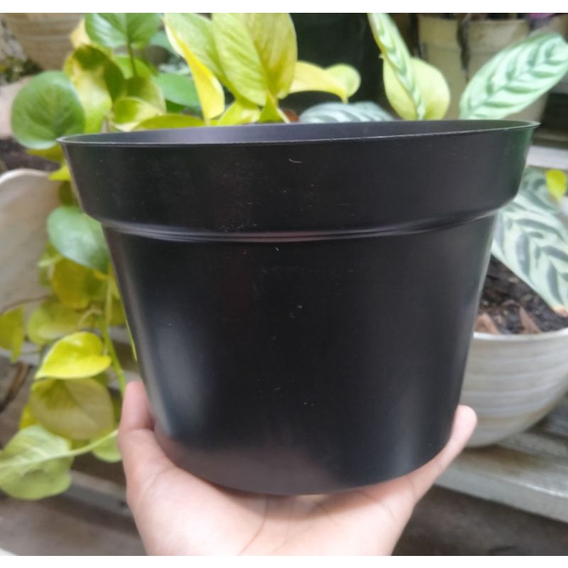 pot bunga hitam pot tanaman pot bunga hitam
