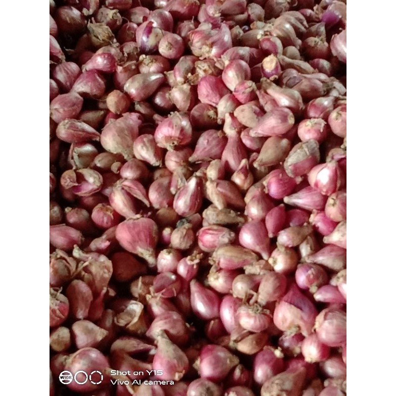 Harga bawang merah 1 kg