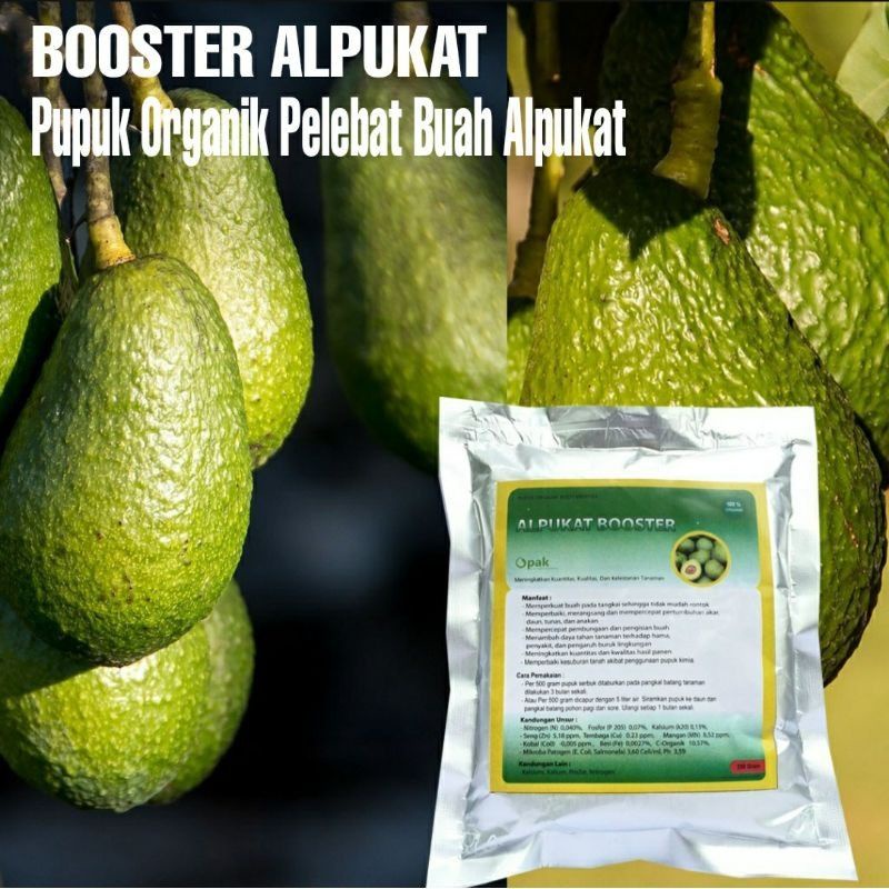 Pupuk Organik Booster Alpukat Perangsang Buah Serbuk Terbaik Ampuh Agar Cepat Berbuah Lebat