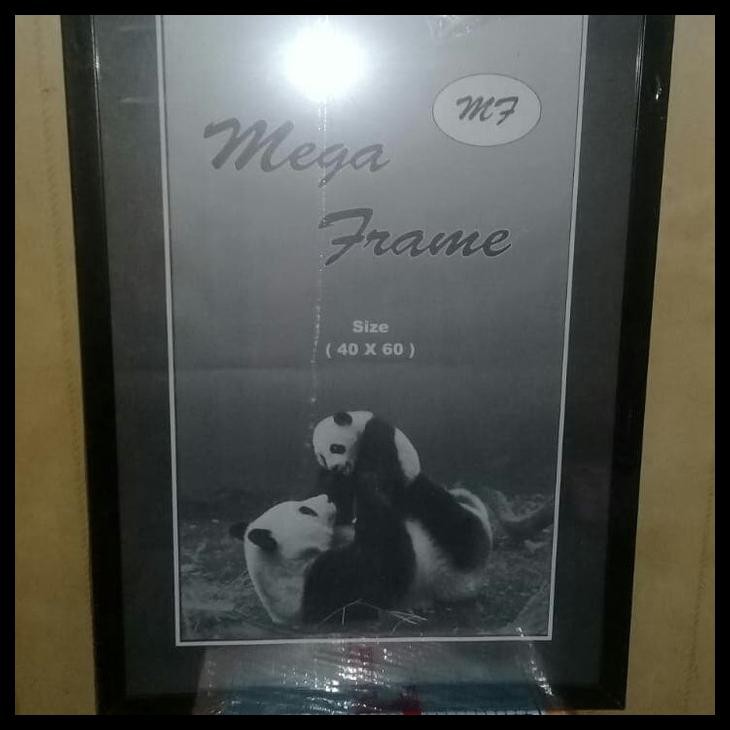 Harga Frame Foto Putih Polos Terbaru Juli 2021 Biggo Indonesia