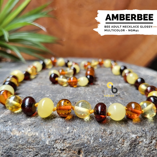 Kalung Amber Dewasa Premium Glossy Multicolor 46-57cm NGM41