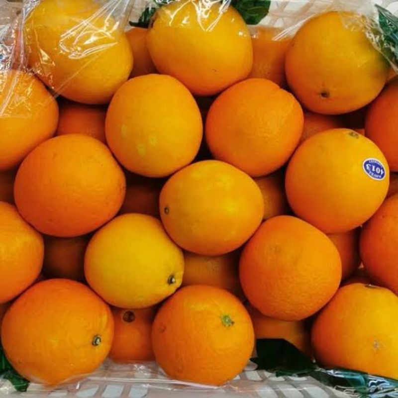 

BSM | TERMURAH Jeruk Sunkist / Sunkist 1kg | Sayur online