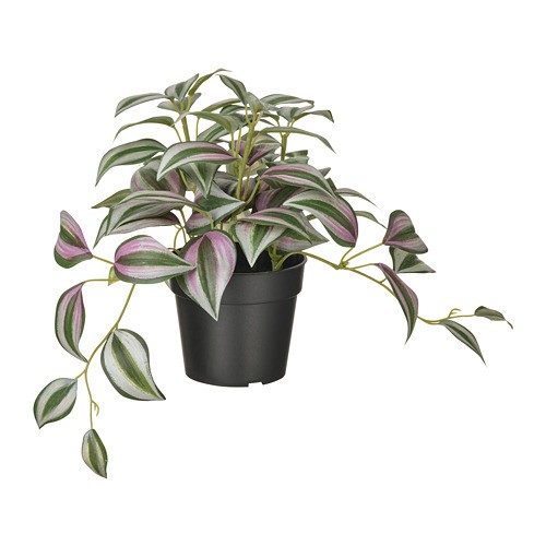 FEJKA tanaman tiruan dalam pot Spiderwort 9 cm