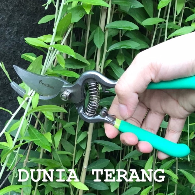 Gunting Dahan FREEDOM 8in / Gunting Tanaman Bunga Ranting Daun / Pruner Shears 8&quot; STV-296 (Garden)