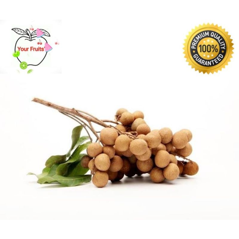 

Buah Lengkeng Bangkok fresh 1kg