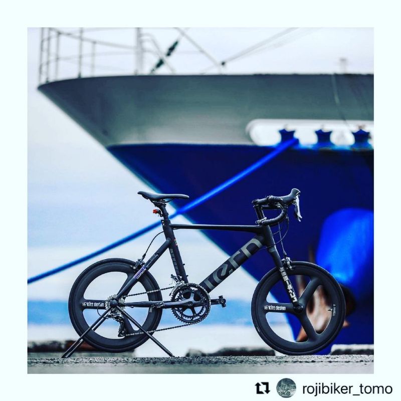 frame fork custom like tern surge