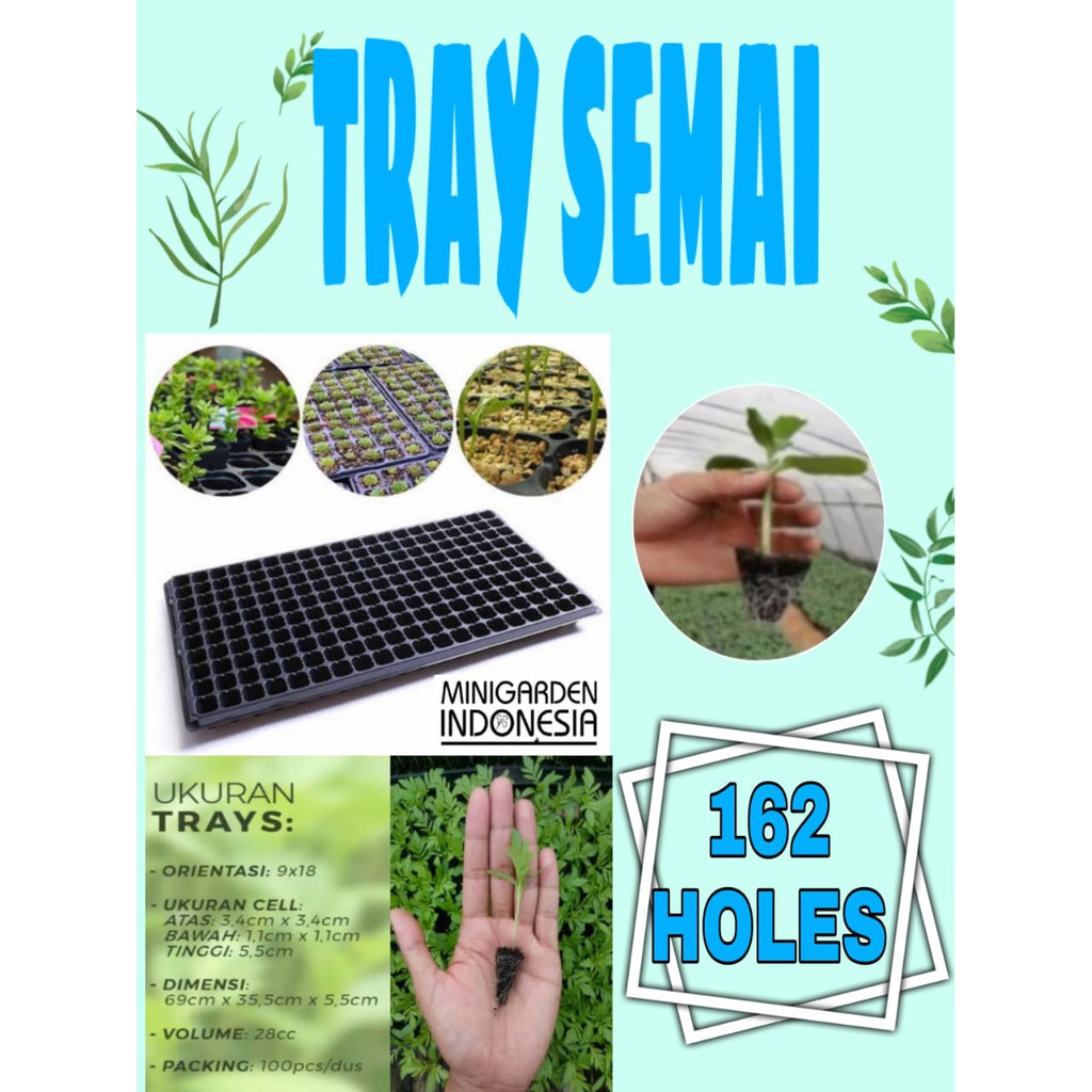 TRAY SEMAI POT TRAY 162 LUBANG Traypot Bibit Biji Nampan Benih Seedling pot Hidroponik tanaman